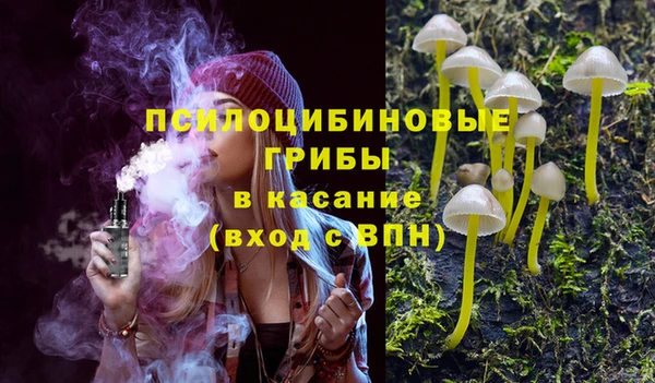 индика Армянск
