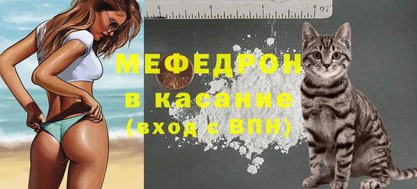 ешки Аркадак