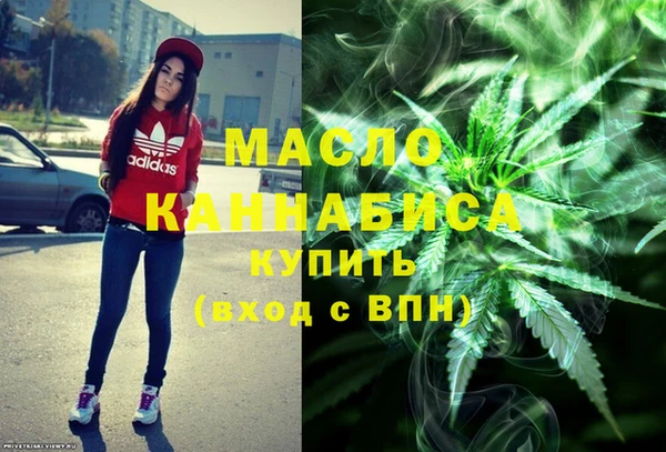 индика Армянск