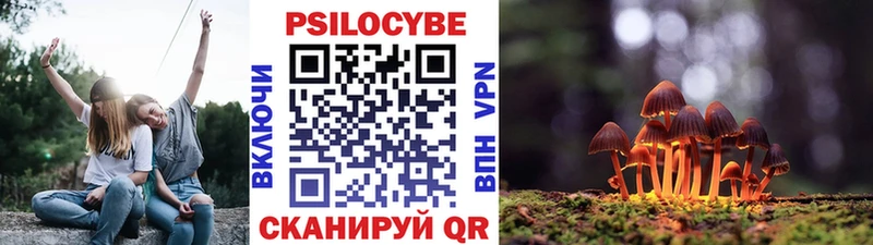 Псилоцибиновые грибы прущие грибы  blacksprut вход  Солигалич  как найти наркотики 